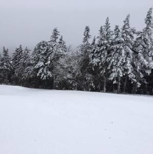 Meet your Posher, Sean